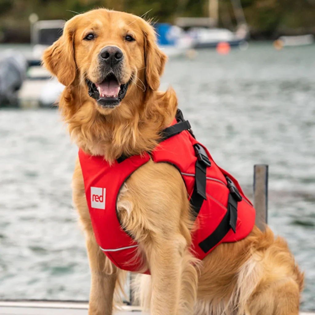 Dog Buoyancy Aid – Red